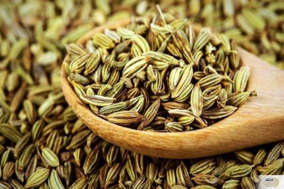 این گیاه خاصیت ضد سرطانی و ضد باکتریائی دارد