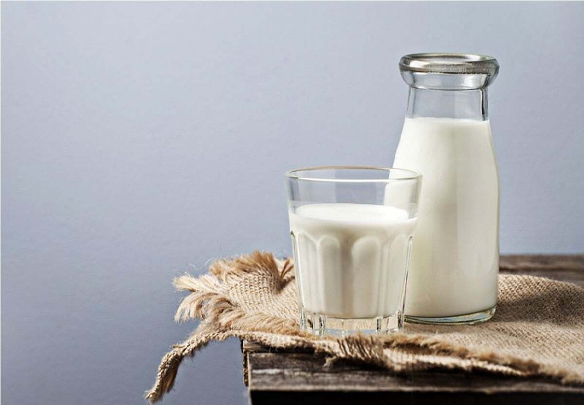 نکات مهم برای رژیم لاغری شیر