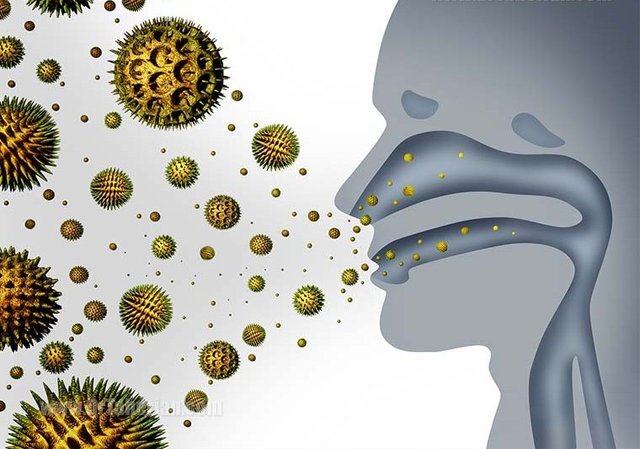 آلرژی بهاره و راههای مقابله با آن آلرژی بهاره و راههای مقابله با آن