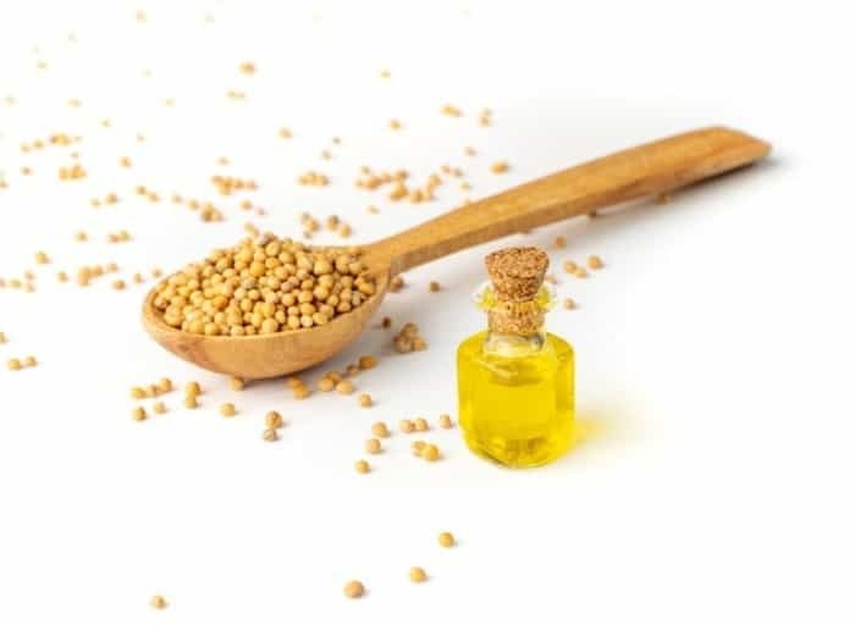 روغن این دانه، گنجینه‌ای از خواص برای سلامتی و زیبایی