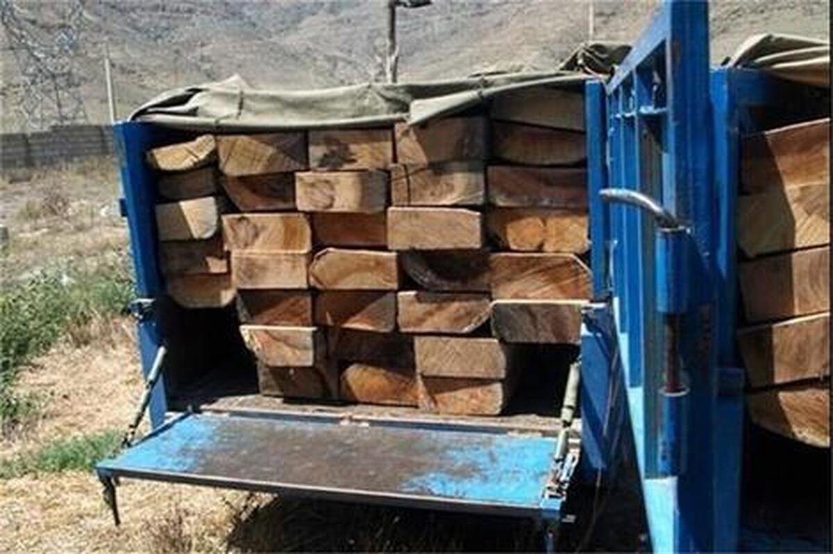 قاچاق میلیونی از  چوب جنگل‌های شمال چه شد؟