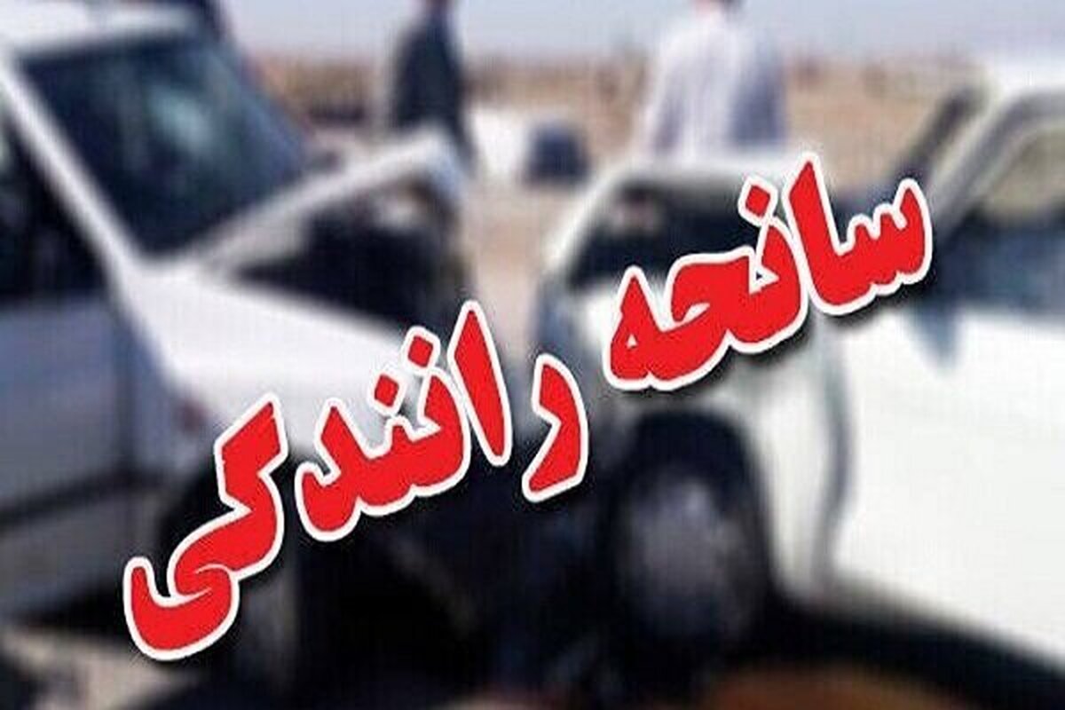 ویدیو/ تصادف مرگبار در این کشور/ ۱۹ نفر کشته شدند