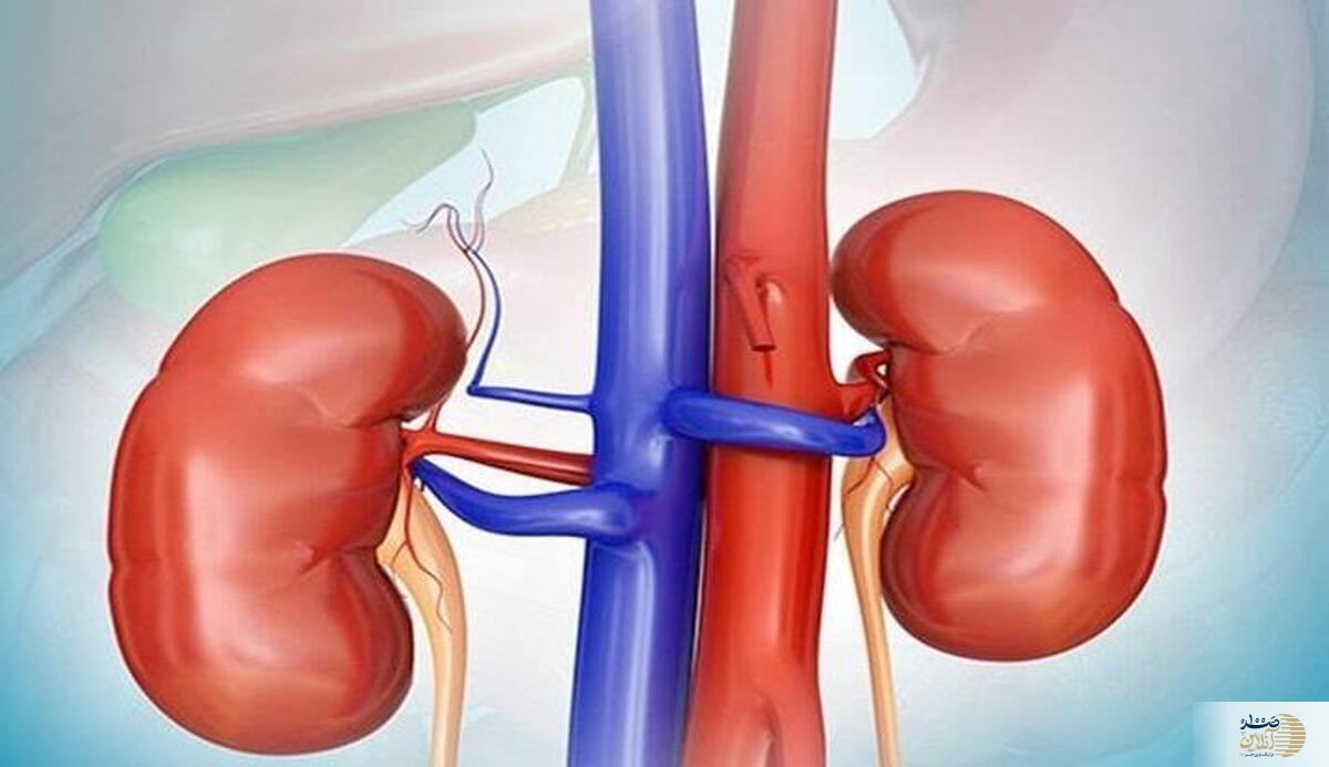 اگر به فکر کلیه تان هستید دور این دو دشمن خطرناک را خط قرمز بکشید