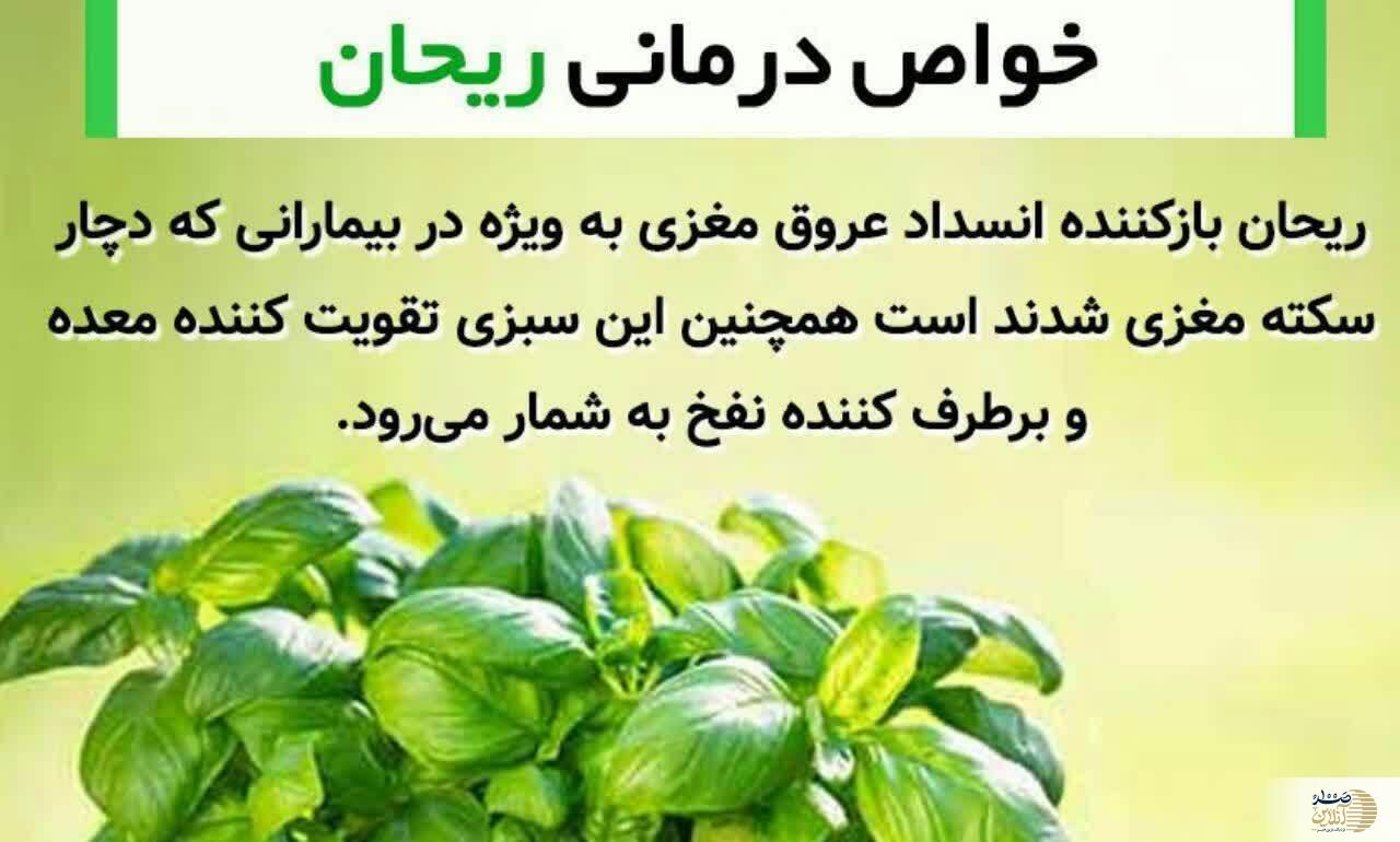 مصرف کننده این سبزی دچار سکته مغزی در خواب نمی شوند