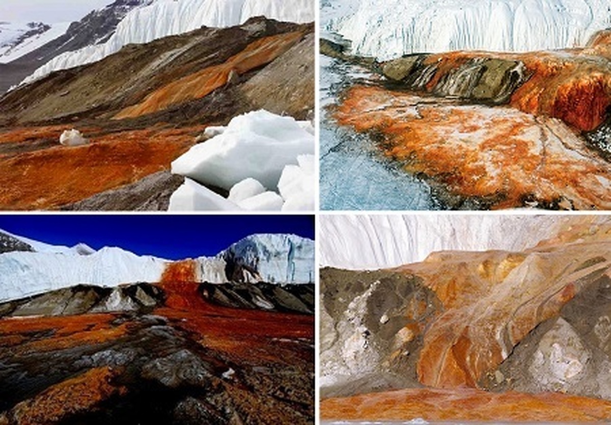 معرفی یخچال طبیعی تیلور؛ سردترین یخچال روی زمین در قطب جنوب