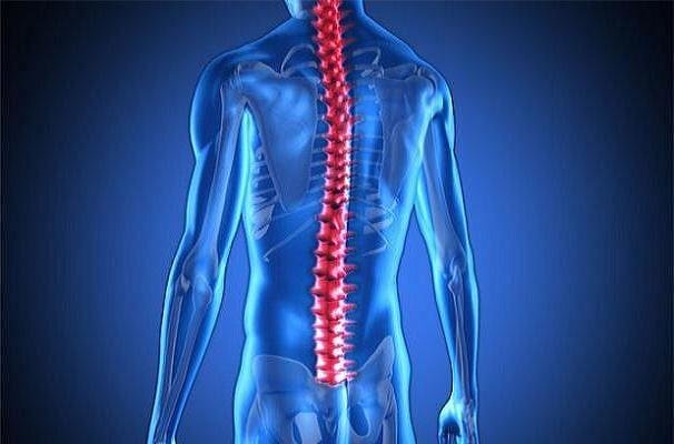 ضایعه نخاعی به متابولیسم بدن آسیب می رساند ضایعه نخاعی به متابولیسم بدن آسیب می رساند