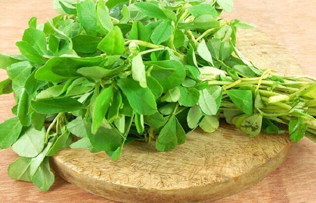 معجزه شنبلیله برای درمان دیابت معجزه شنبلیله برای درمان دیابت