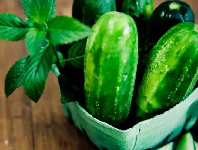 راه حل‌های طبیعی برای فرار از گرما و درمان آفتاب سوختگی