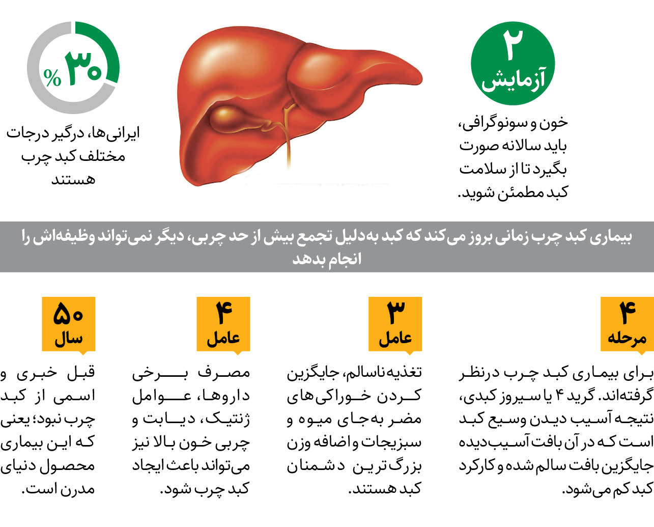 یک‌سوم ایرانی‌ها کبد چرب دارند