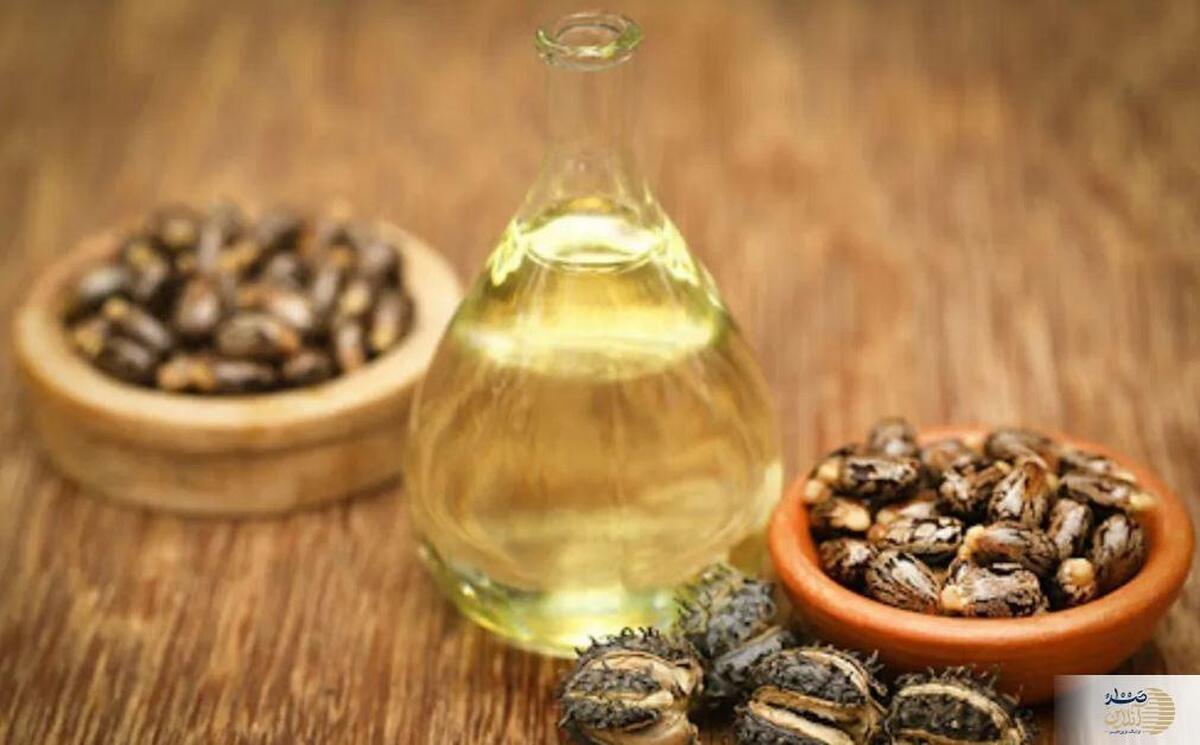 جزئیات کامل خواص روغن کرچک برای بدن و مو + طریقه مصرف و مضرات آن