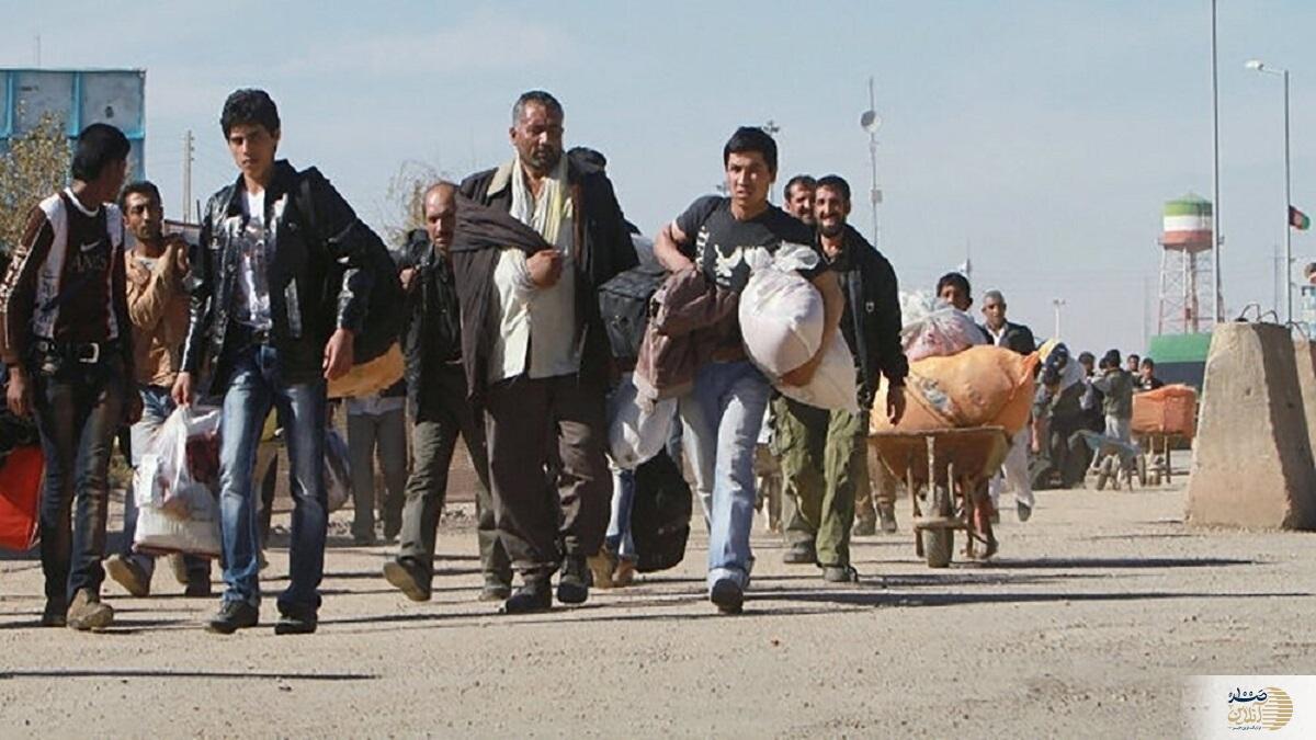 دولت دست به کار شد | اخراج‌ها اتباع بیگانه از کشور آغاز شد