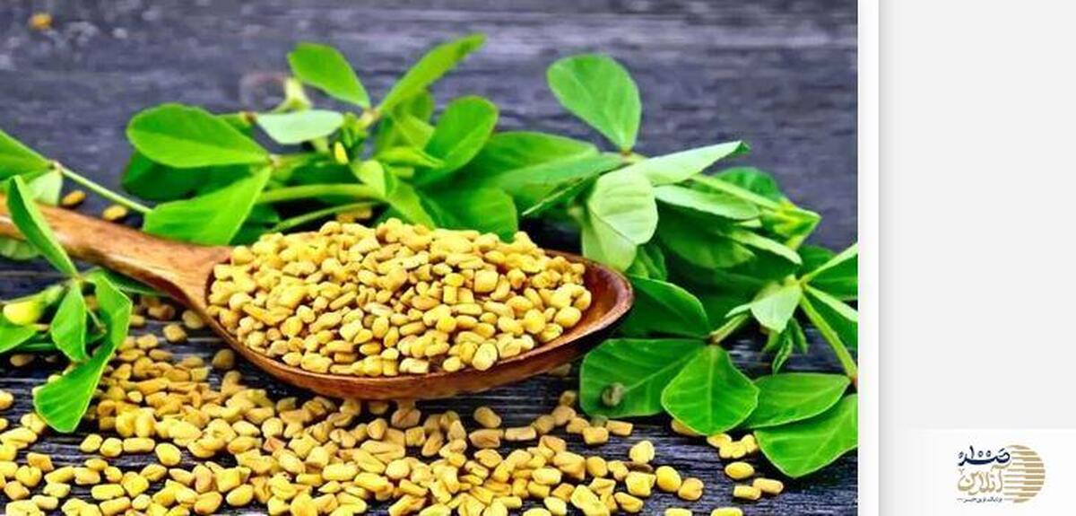 این نوشیدنی معجزه گر  در هر خانه ای وجود دارد | نوشیدنی که سنگ کلیه را پودر ، قند خون را کنترل می کند