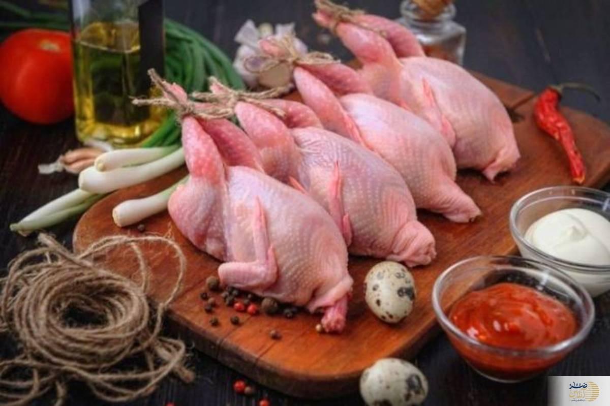 خواص بینظیر گوشت این پرنده خواص بینظیر گوشت این پرنده