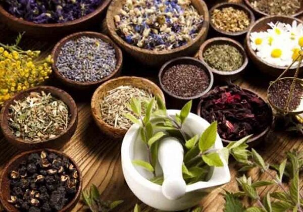 داروهای گیاهی چینی عوارض جانبی درمان سرطان را کاهش می دهند داروهای گیاهی چینی عوارض جانبی درمان سرطان را کاهش می دهند