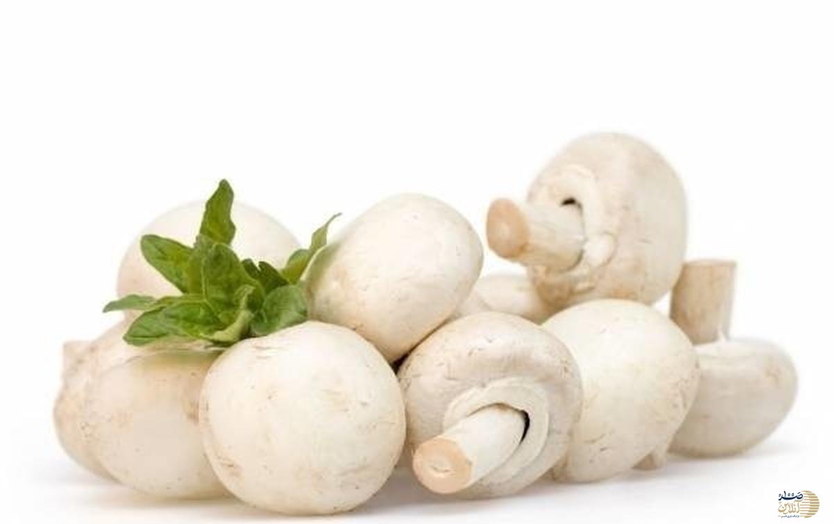 با حذف این کلاهک گیاهی خطرناک از سفره خانواده ها هیچ کس بیمار نمی شود / مصرف آن را متوقف کنید