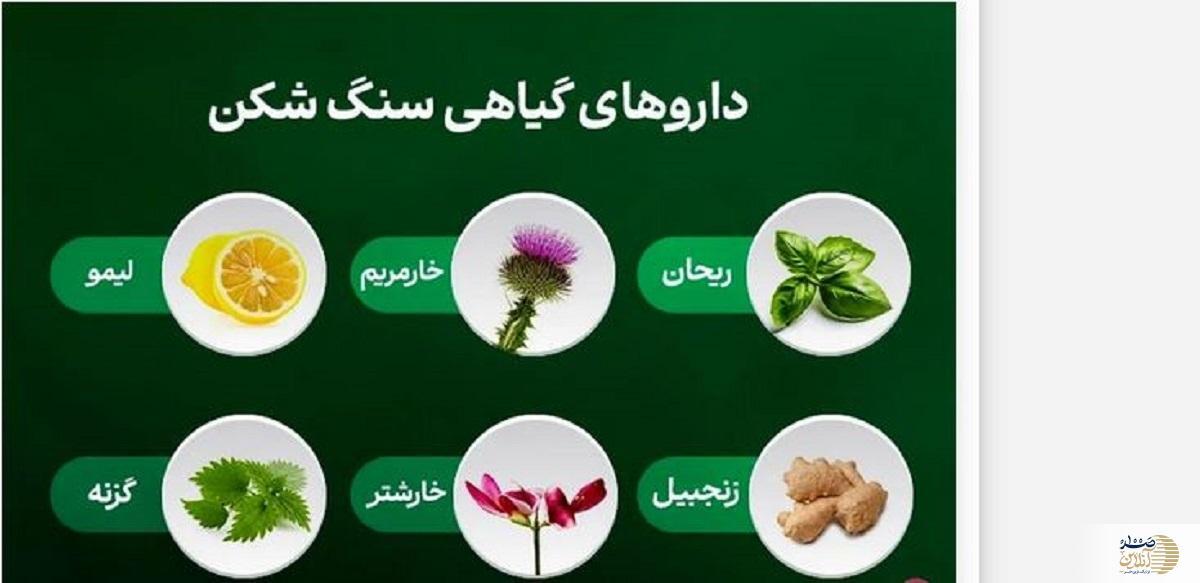 این گیاه ها قویترین داروهای سنگ شکن هستند