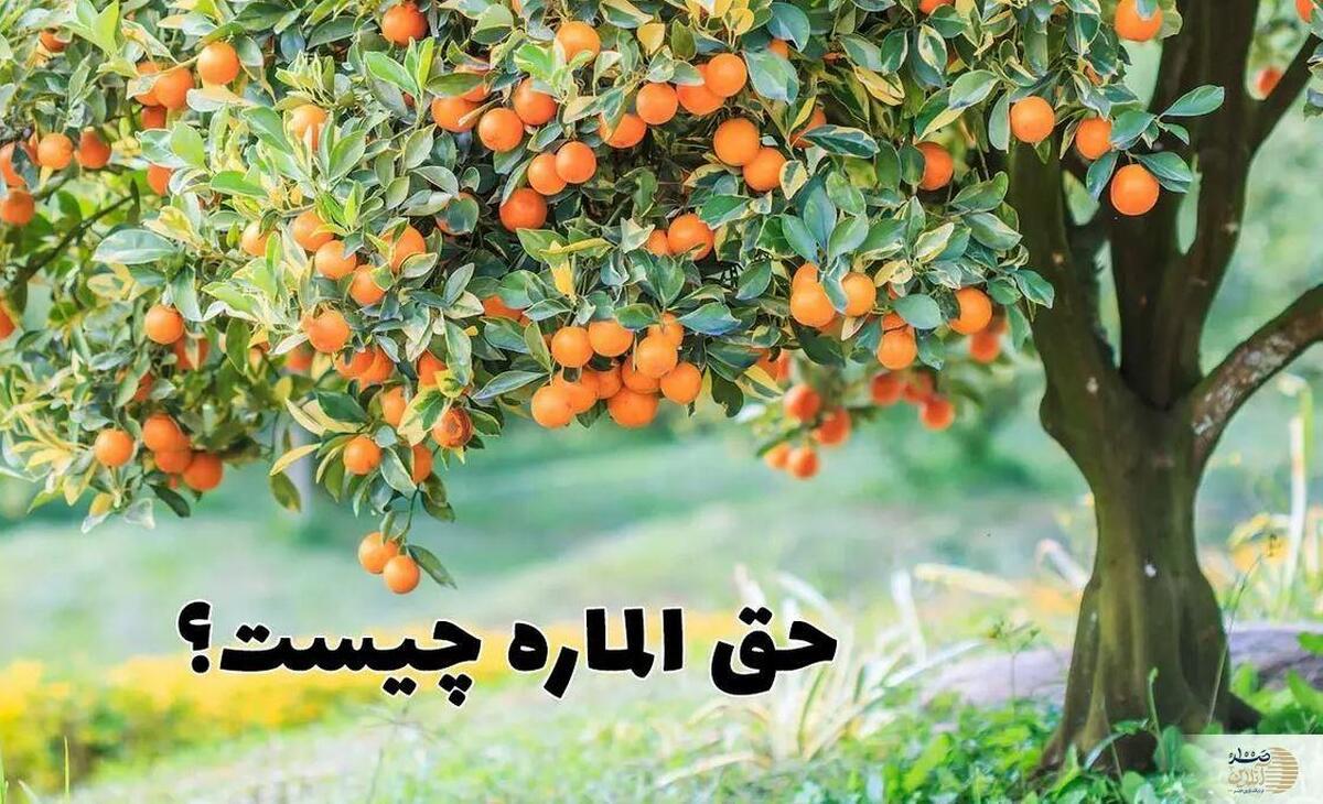 حق الماره چیست؟ احکام حق الماره چگونه است؟