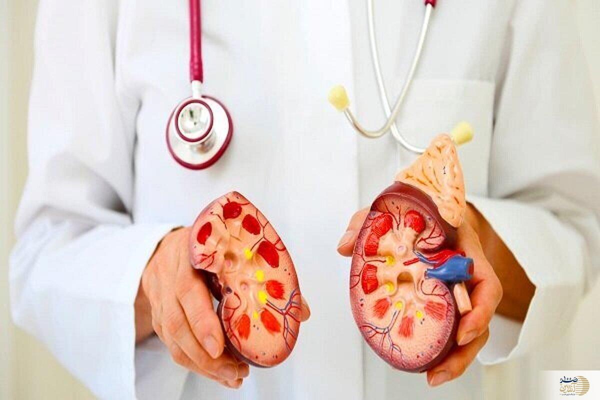 این عوامل باعث ایجاد سنگ کلیه میشود