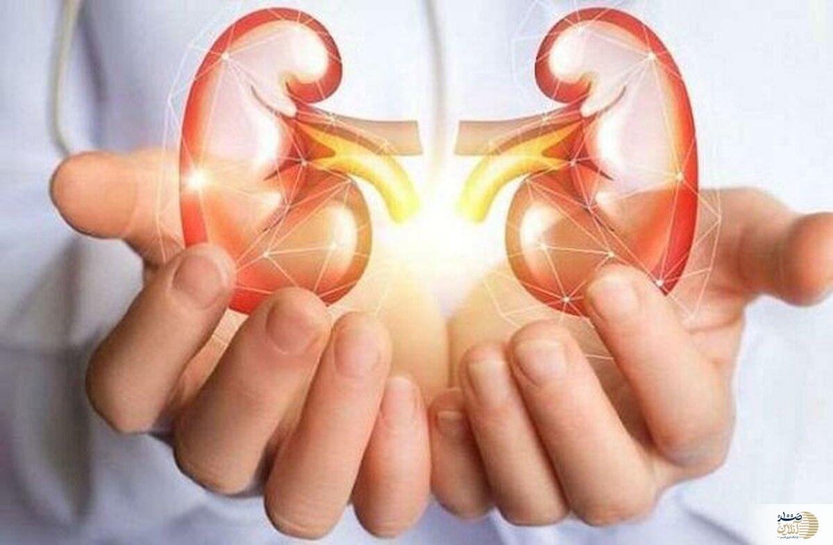 مراقب کلیه هایتان باشید تا مغز سالم داشته باشید/ خطر ابتلا به انواع زوال عقل در این افراد
