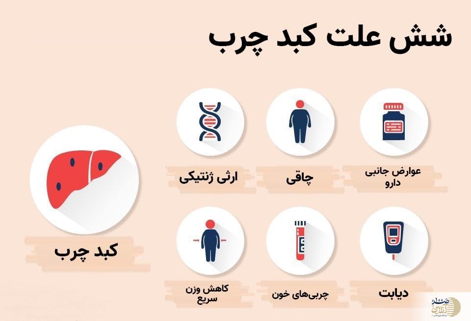 همه چیز درباره کبد چرب / علائم کبد چرب در زنان و مردان را بشناسید