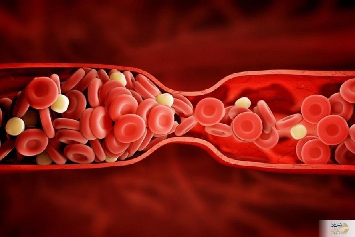 تقویت گلبول‌های قرمز خون با این دانه مقوی