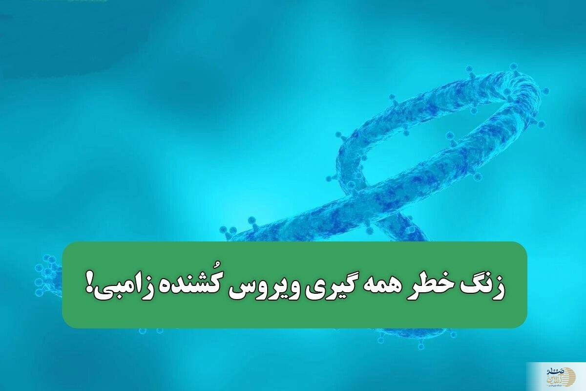 علائم این بیماری کشنده ؛ سردردهای شدید، دردهای عضلانی، تب، اسهال، خستگی ، معده درد و استفراغ