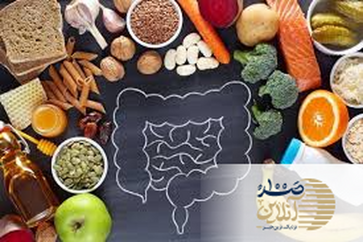 مواد غذایی مفید برای روده در ۵۰ سالگی؛ چطور سلامتی گوارش را حفظ کنیم؟