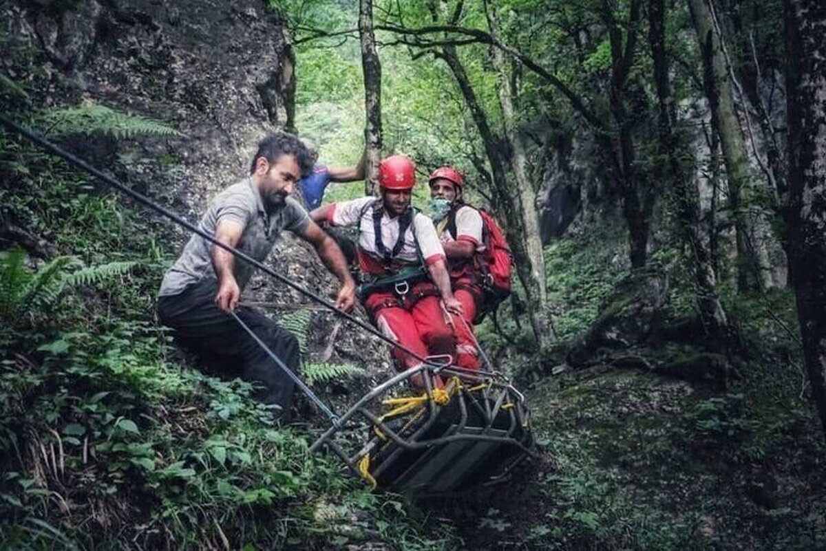 گردشگران گمشده در جنگل های چالوس پیدا شدند