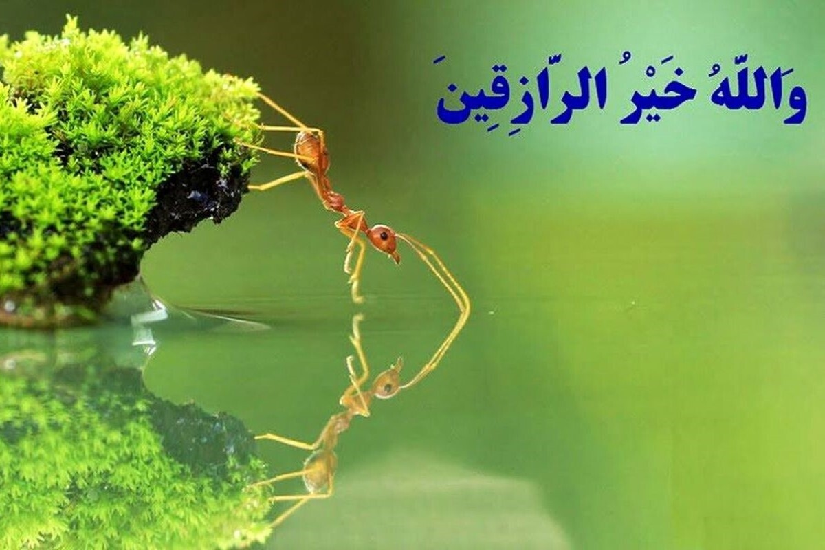 هر آنچه که باید درباره حرز امام جواد علیه السلام و تأثیر آن بر رزق بدانید