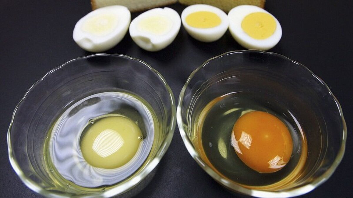 تمام ویژگی ها در زرده کوچک که از آن بی خبرید