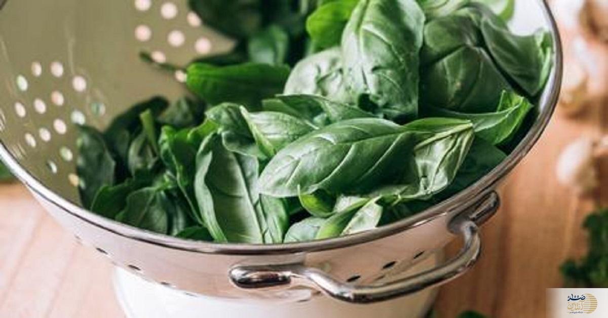 ۱۰ گیاه و ادویه برای کاهش فشار خون/ از دارچین تا سیر