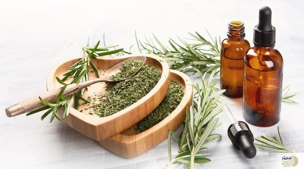 فواید روغن این گیاه برای مو/ از رشد مو تا کاهش شوره سر