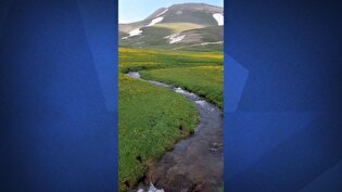 ببینید| طبیعت زیبای شهرستان اسکو آذربایجان شرقی همه را شگفت زده کرد