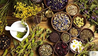 بلغم چیست؟/ توضیح طبع سرد و مرطوب از نگاه طب سنتی