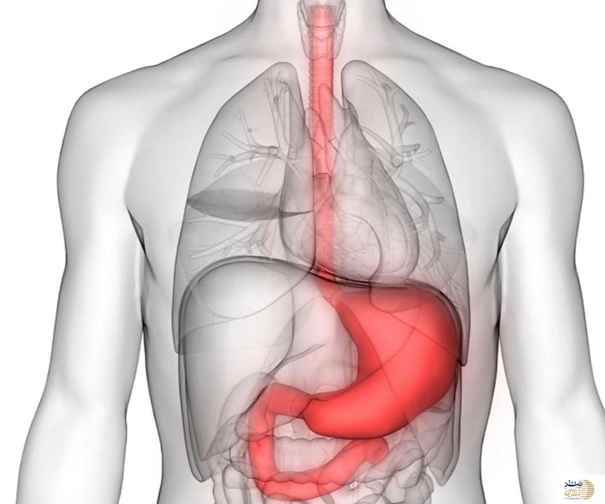 معده چگونه سرد می‌شود؟