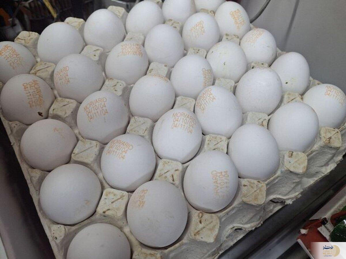 قیمت تخم‌مرغ پرواز کرد!