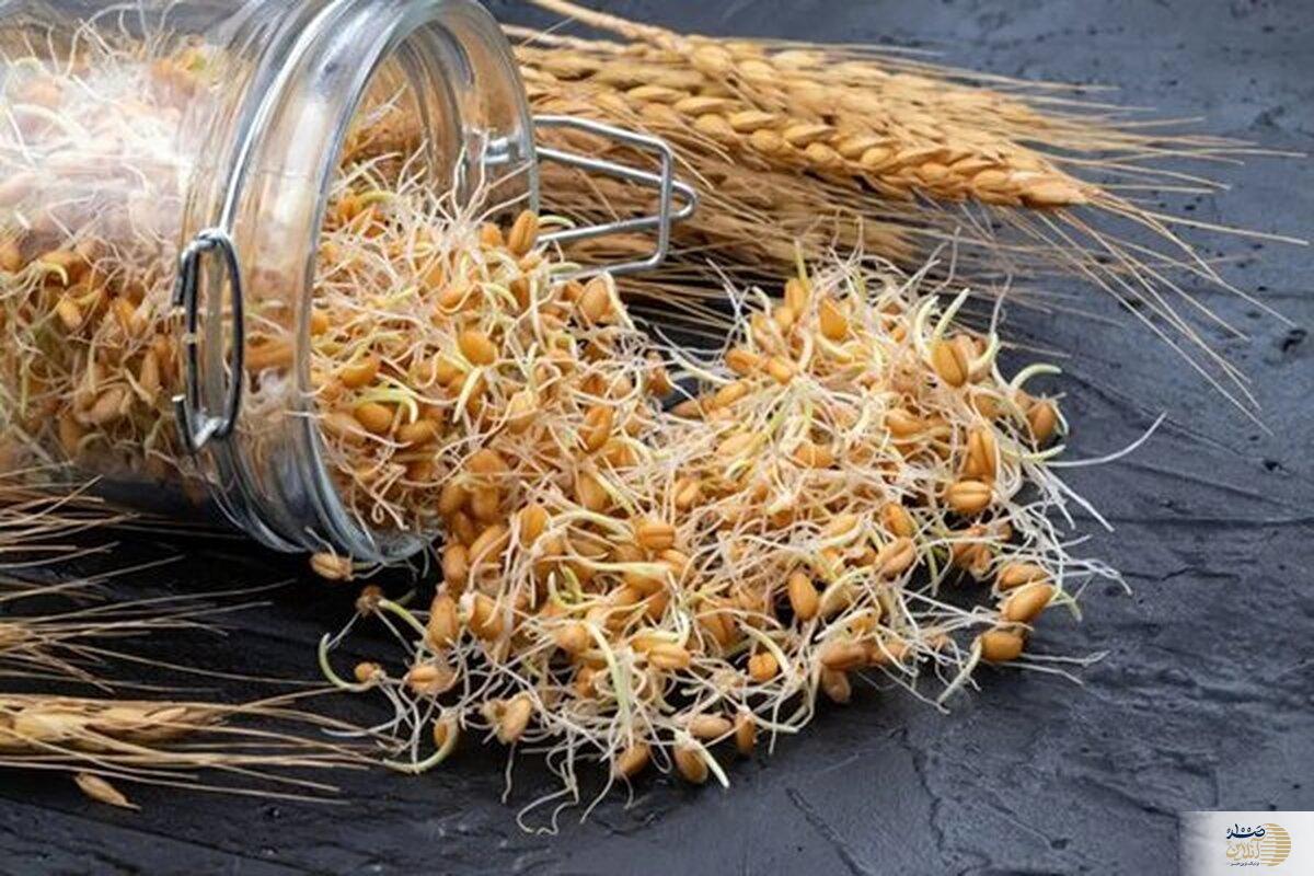اگر می خواهید پیر نشوید جوانه این گیاه را زیاد مصرف کنید