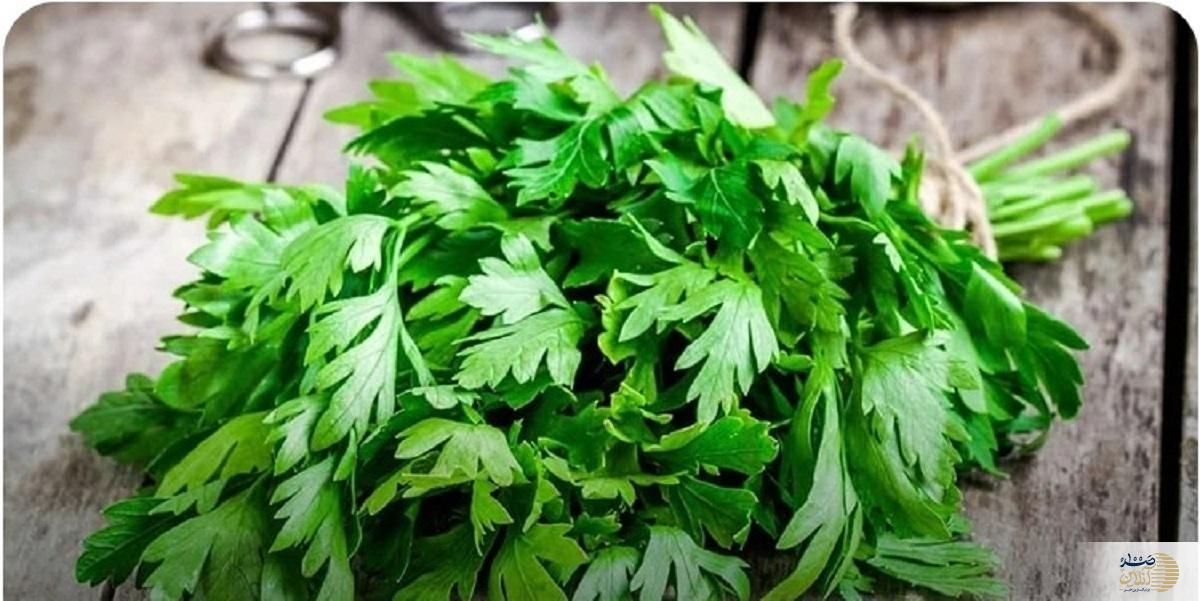این سبزی پوست شما را زیبا و لاغری را به شما هدیه می‌دهد