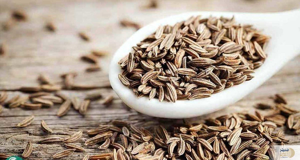 سلطان گیاهان دارویی ؛ گیاهی با خواص ضدسرطان و مزایای چندگانه برای سلامت