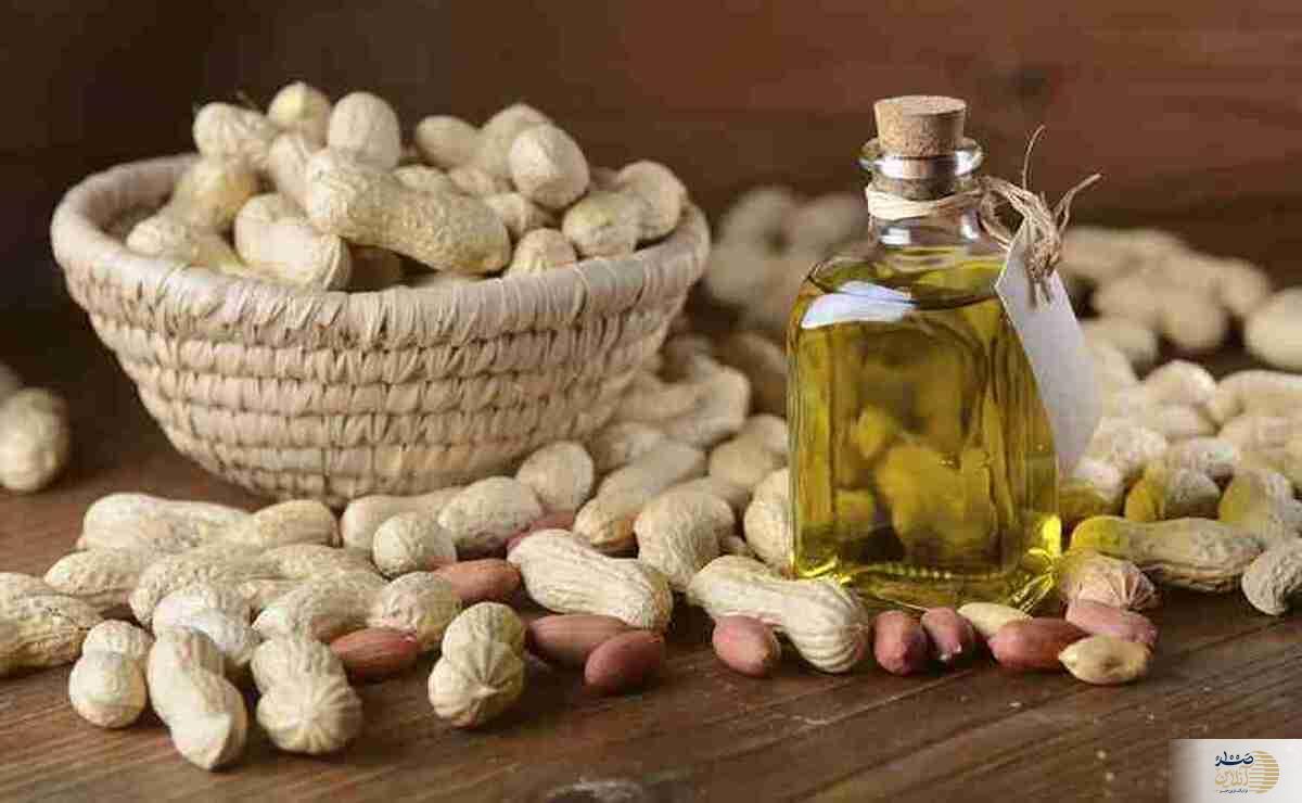 این روغن معجزه می‌کند؛ از خواص ضد پیری تا بهبود عملکرد مغز