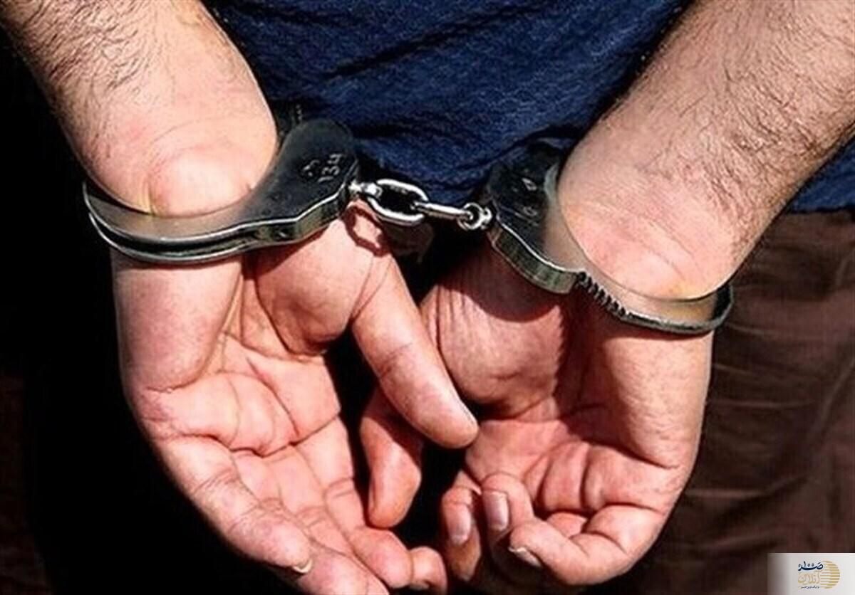 زوج جوان با سکه های تقلبی در زنجان دستگیر شدند