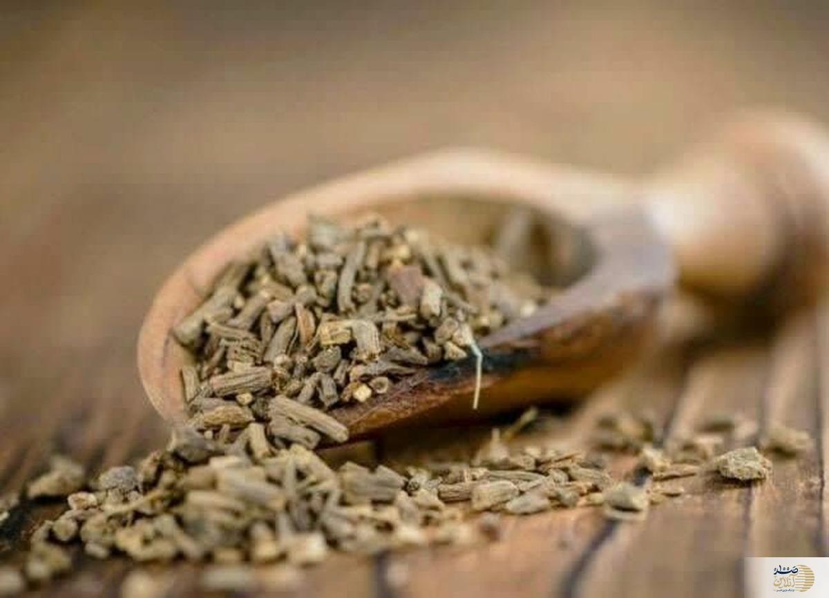 خواص دارویی این گیاه را تا بحال نشنیده اید