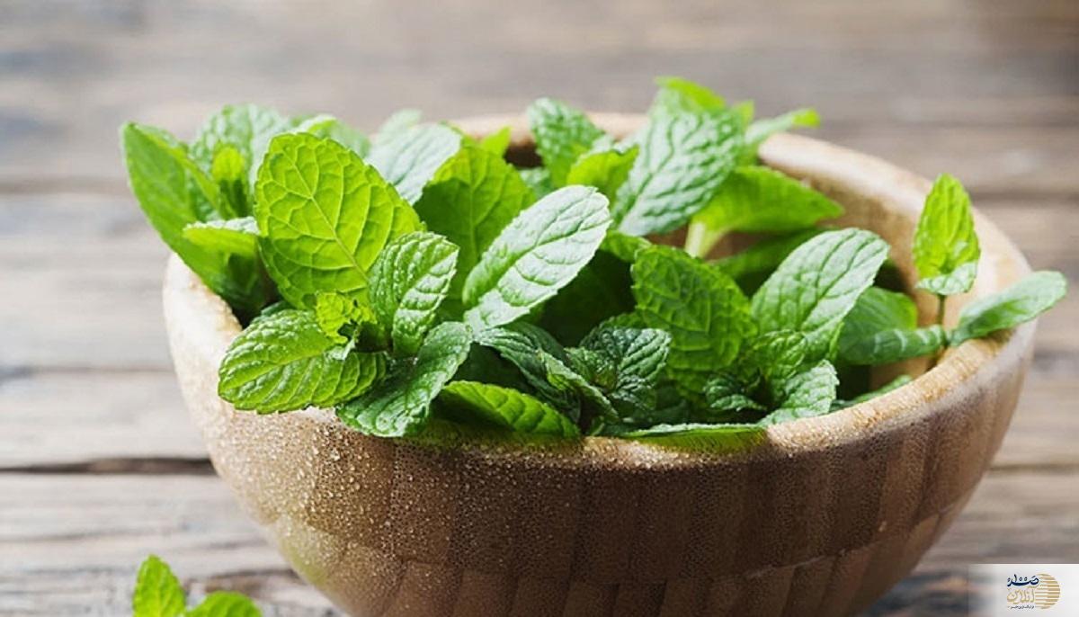 کاهش اشتها با این سبزی خوش طعم