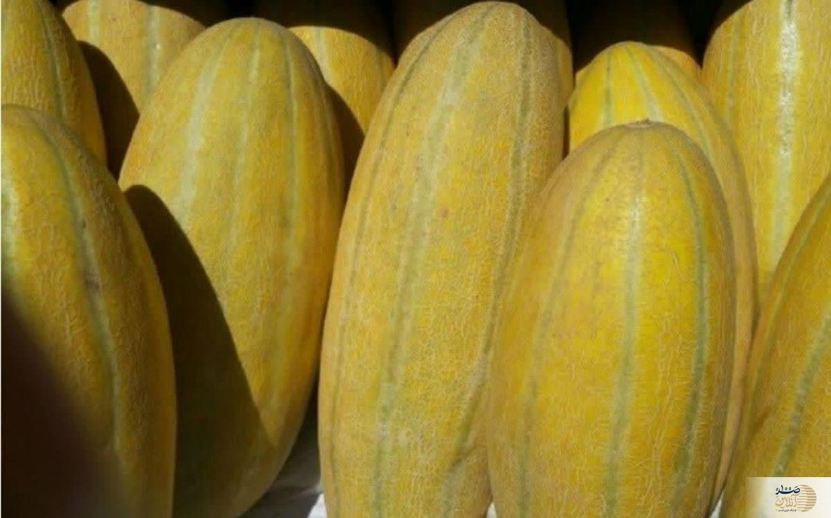 با این میوه شیرین سیستم ایمنی بدنتان را تقویت کنید