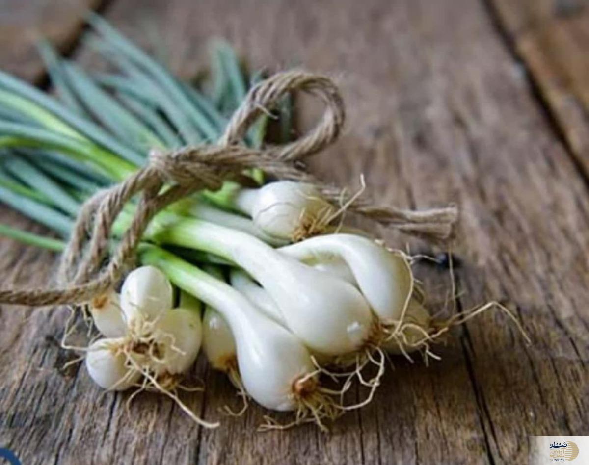 این سبزی خوش طعم بلای جان جوش ها شما می شود