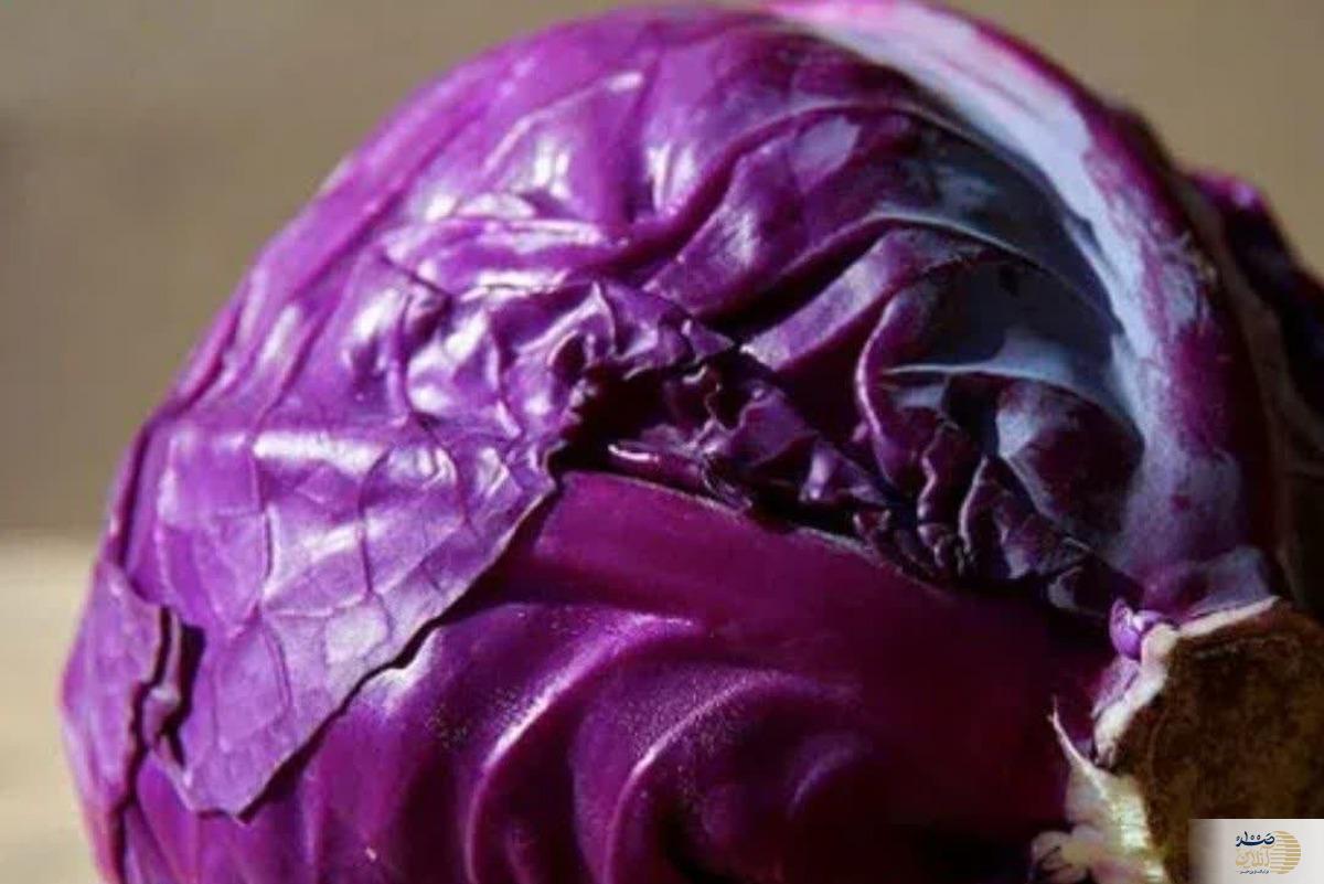 دیابت خود را با این نوع کلم کنترل کنید