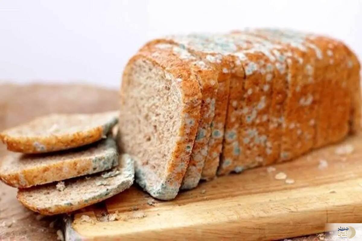 باورتون نمیشه چی شد! غذای کپک زده رو خوردم و...