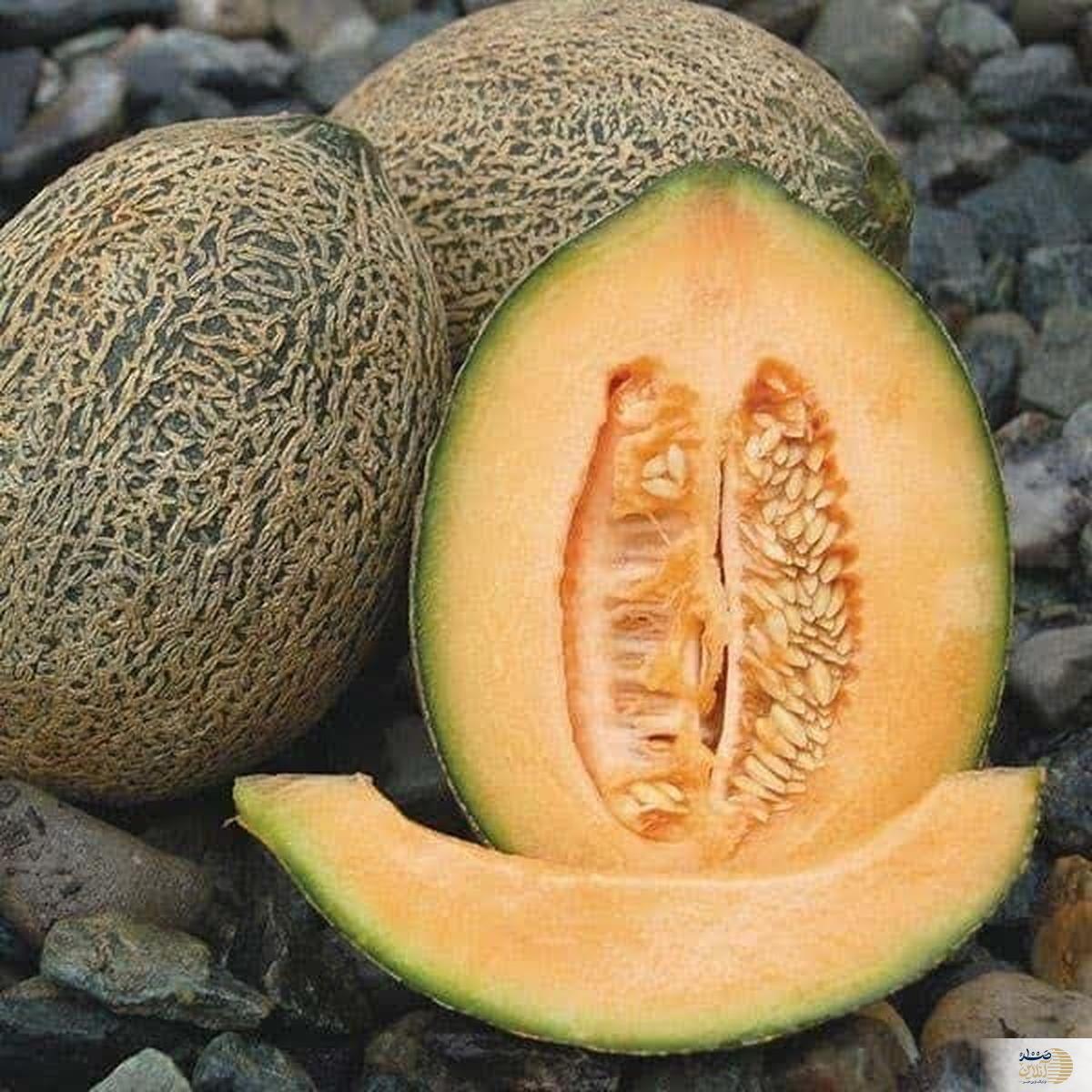 با این میوه شیرین تابستانه وزنتان را کم کنید