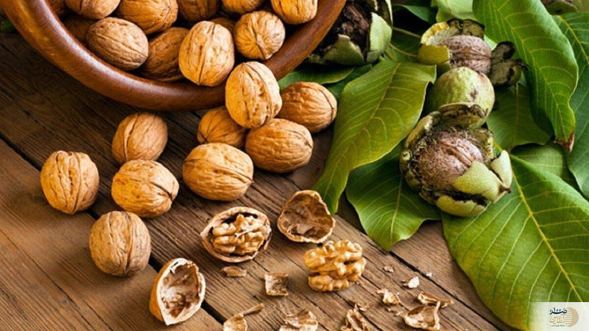 مصرف گردو از این بیماری مرگبار جلوگیری می‌کند!
