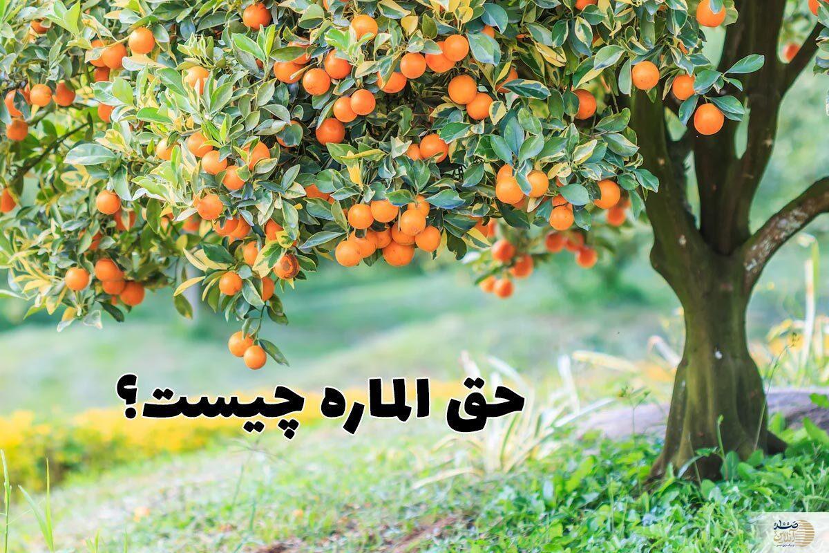حق الماره چیست؟ / احکام شرعی حق الماره